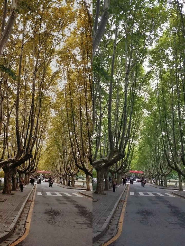 一个人在南京的生活感受,在南京生活很幸福吗