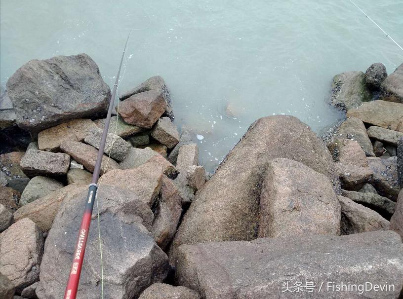 厦门岸边矶钓钓点,观音山钓点