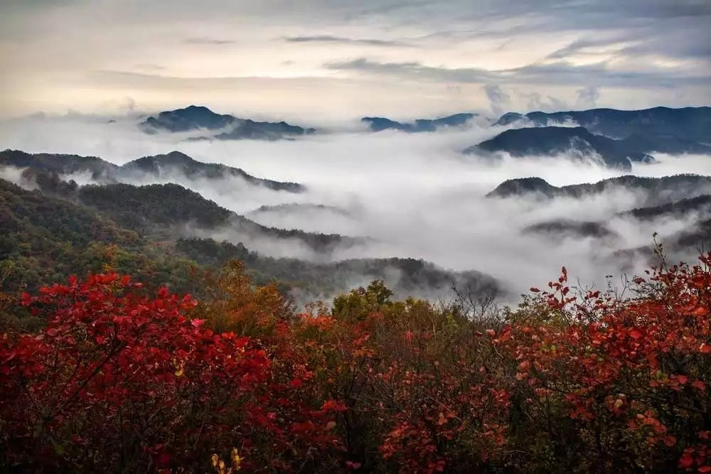 青龙峡旅游专线怎么买票,青龙峡旅游专线预订电话