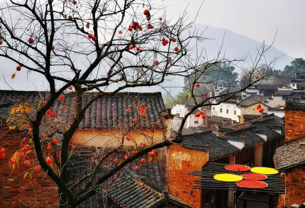 婺源的秋天真美,秋天的婺源什么时候去最美