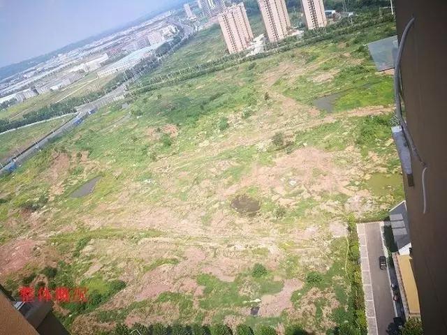 吴长江在雷士还有股份吗,雷士照明创始人吴长江的商海沉浮