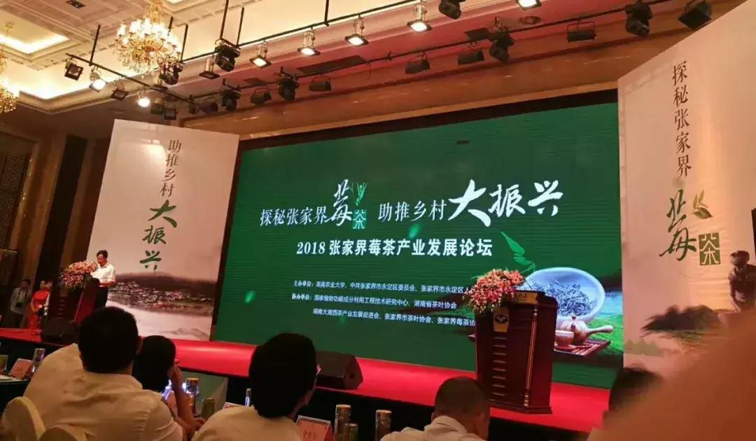张家界莓茶文化节,2023张家界莓茶节