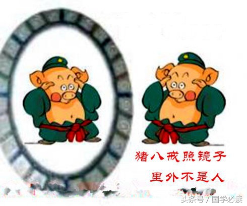 妙趣横生的十二生肖歇后语,十二生肖歇后语大全二年级