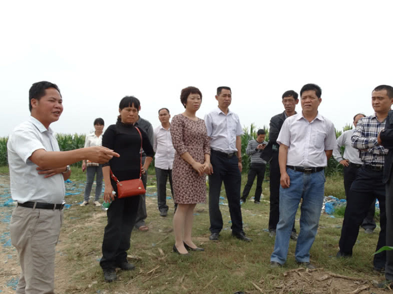 村干部不肯公开财务，村民该如何应对？手机就可以举报！