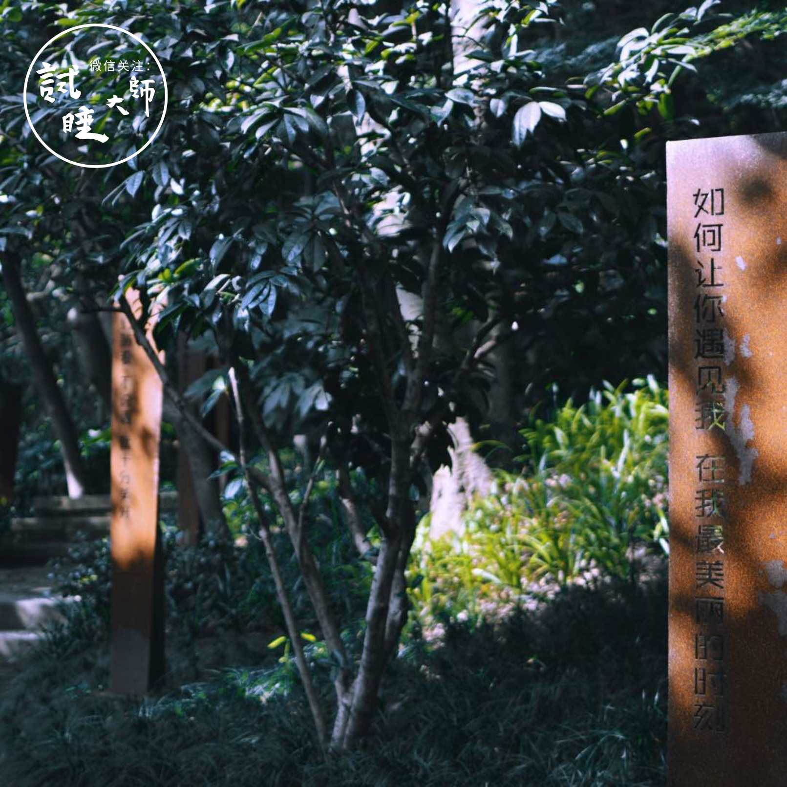 艺术性酒店浴缸,专为女性而设计的寝具