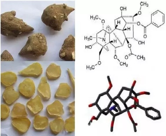 万通筋骨贴有毒副作用吗,万通筋骨贴有肝肾毒性吗
