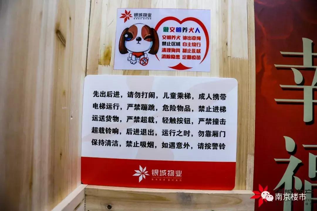 南京银城精装修房怎么样,南京银城的房子能买吗