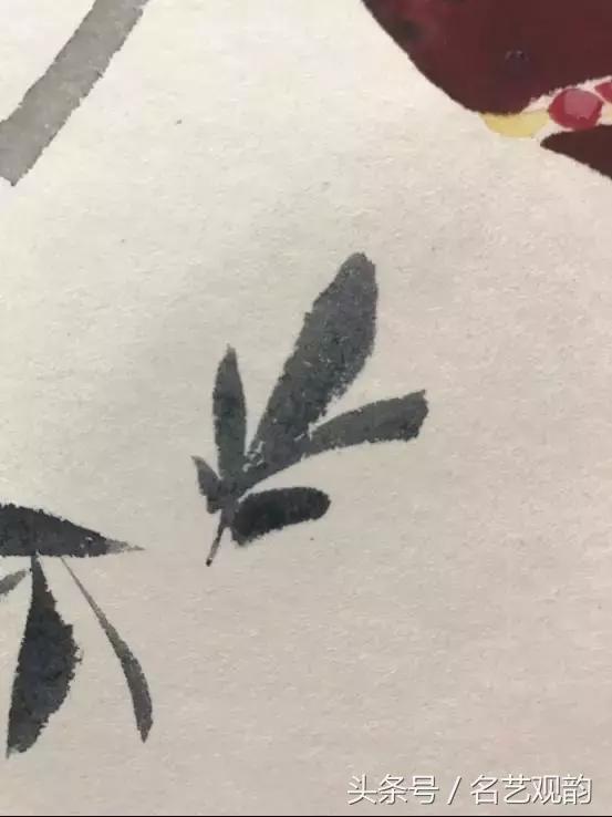 中国画技法之没骨画法的经典范画,没骨画法和写意画的区别