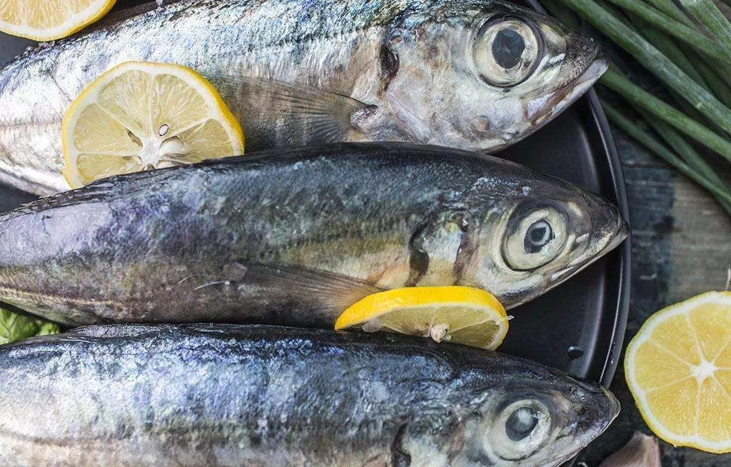 关于深海鱼油的真相,吃深海鱼油到底好不好