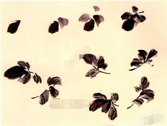 国画小写意菊花花头的画法,菊花国画写意画法视频