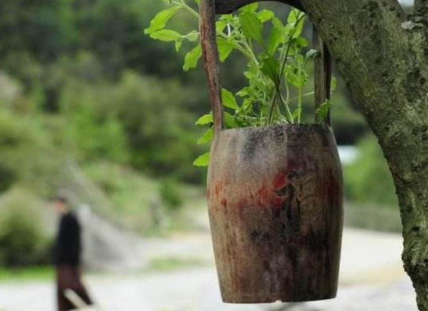 做人要知恩图报要珍惜亲情,知恩图报懂得感恩就是福报