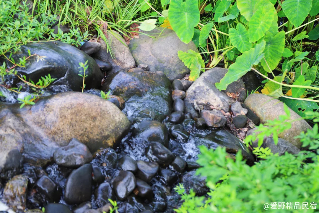 杭州3天2夜｜西子湖畔，脚步丈量这座底蕴深厚的城-爱野精品民宿
