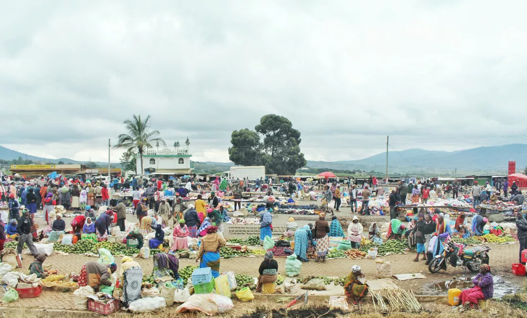 肯尼亚│我没有错过非洲，错过动物大迁徙