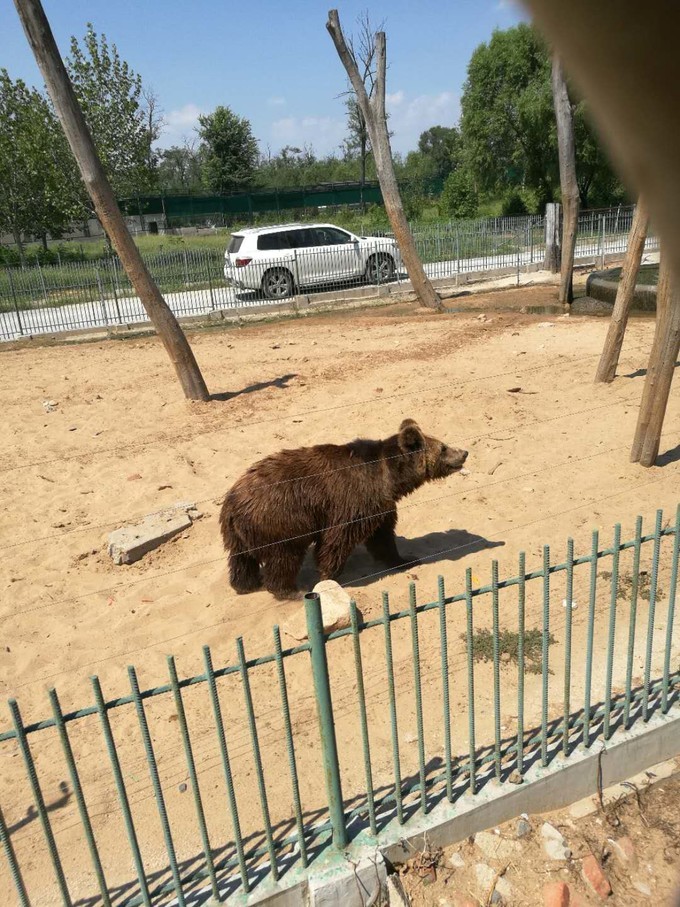 寻秦记旅游,寻秦记自驾旅游