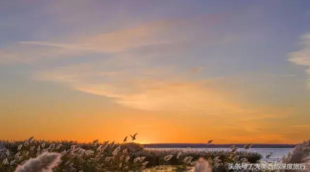 额济纳旗旅游安排时间表,额济纳旗旅行全攻略