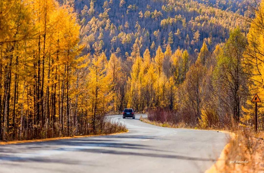 国内最美的十大海滨城市,国内最撩人的20个金秋童话