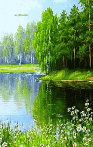 会动的图片一览表,会动的图片完整版