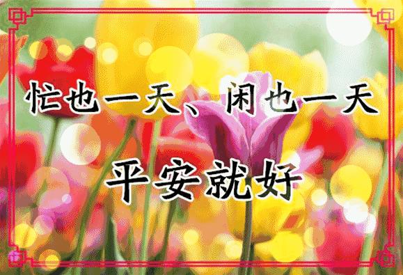 会动的11张图片,会动的花动态图片