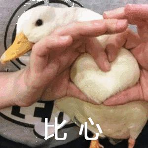 今年开学季这拨新生名字，比往年每届都令老师发指