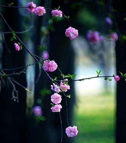 50条高质量qq个性签名短句,女人优雅内涵的个性签名简短