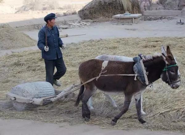 改革开放四十年一路花开,改革开放激荡四十年