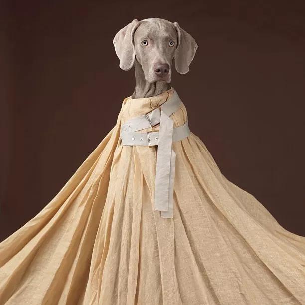 三大国潮联名卫衣,最新出圈的国潮联名款卫衣