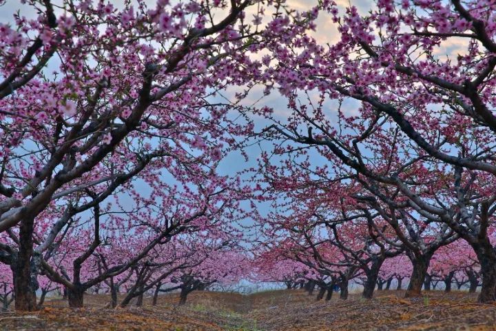 2016黄陂摄影大展,孝感新体育馆摄影大赛