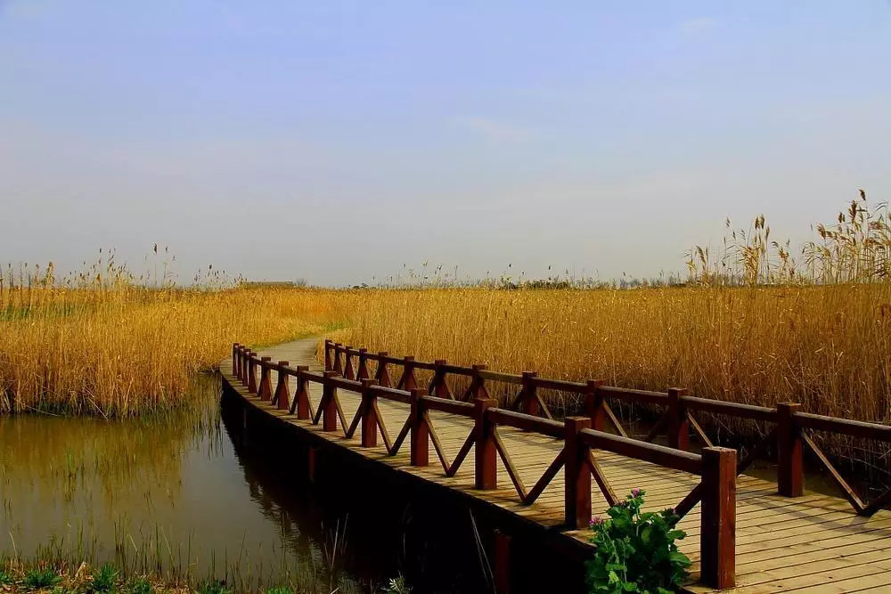 推荐3个上海周末好去处,上海这8个小众去处全免费