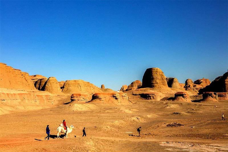 北疆环线10日游最新,北疆环线10日游旅游团