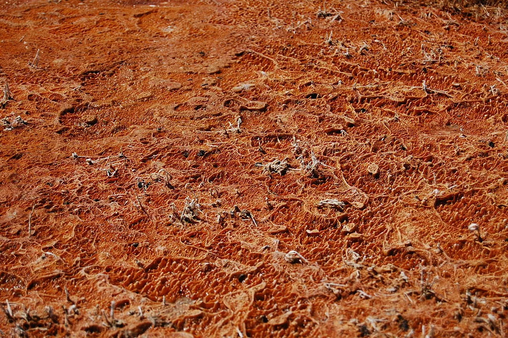 机洗*裤内**容易得暗病？这个锅我们袜子不背！