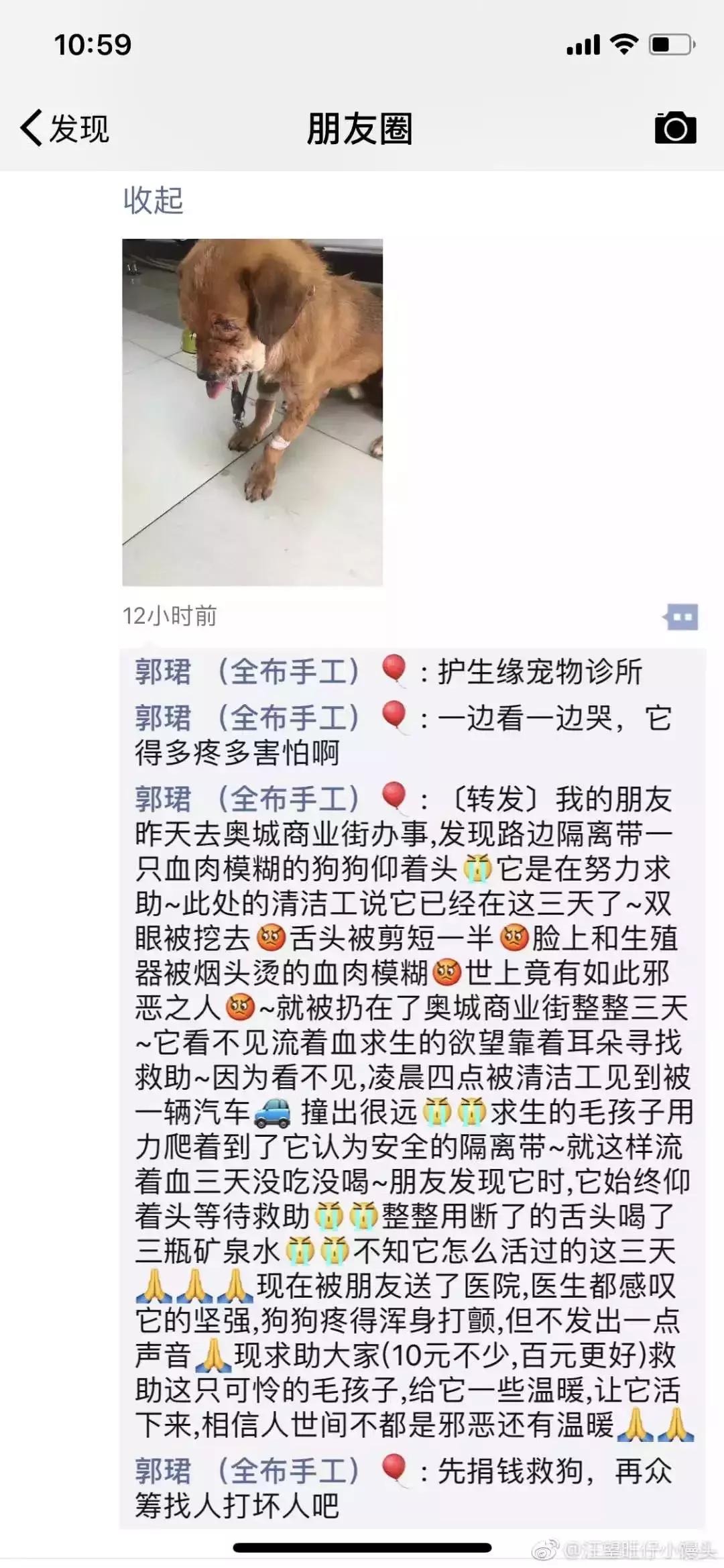 歹毒虐狗的人渣,请滚出天津!