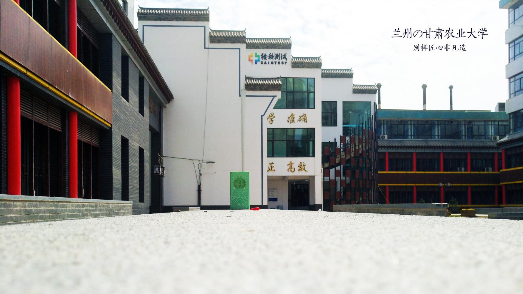 喝白酒最佳酒器,喝白酒最好用什么杯