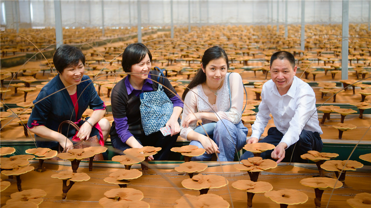 对抗病魔女孩子,对抗病魔女孩