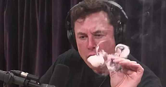 水滴时评：歇了吧新势力，要有果敢止血的勇气