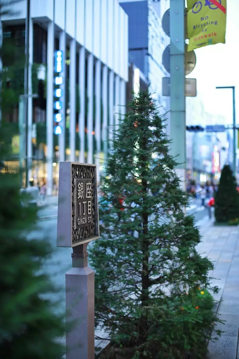 日本东京游记,日本东京游记day8