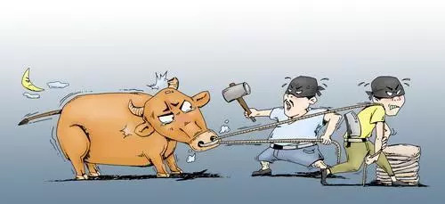 警方抓捕偷牛贼庭审现场视频,偷牛贼42次被判刑