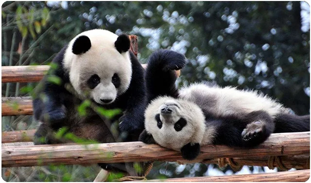 一年成郡两年成邑三年成都,一年成邑二年成郡三年成都