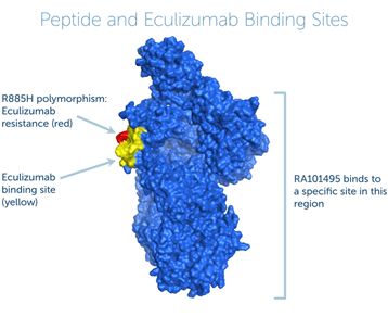 多肽类药物的研究发展,多肽药物的发展前景
