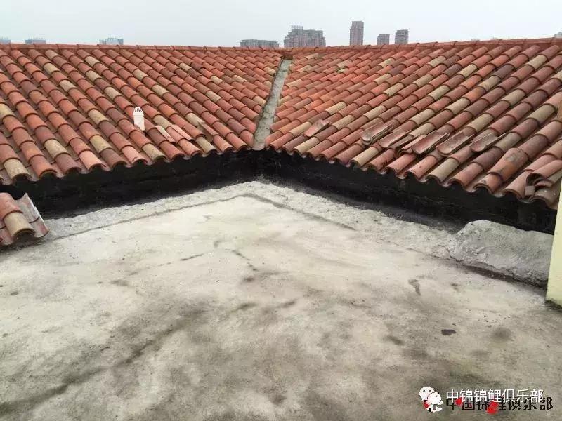 楼顶鱼池有哪些,屋顶鱼池的建造方法