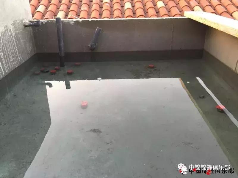 楼顶鱼池有哪些,屋顶鱼池的建造方法