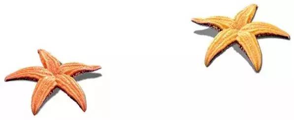 中华经典唐诗三百首视频,古诗是我们中国最灿烂的明珠