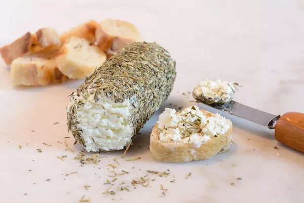 好好领教奶酪的“臭脾气”