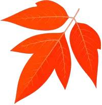 哈密至乌鲁木齐动车提速,新疆铁路将加开旅客列车