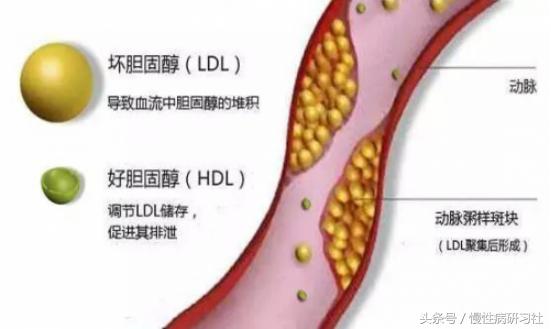 榴莲虽好吃但是满身的刺,榴莲虽好吃但是要有度