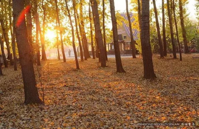 国庆伏尔加庄园,哈尔滨伏尔加庄园三日游