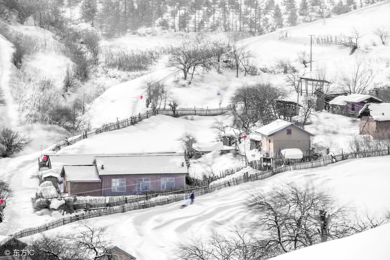 中考满分作文共度时光,共度好时光初三作文