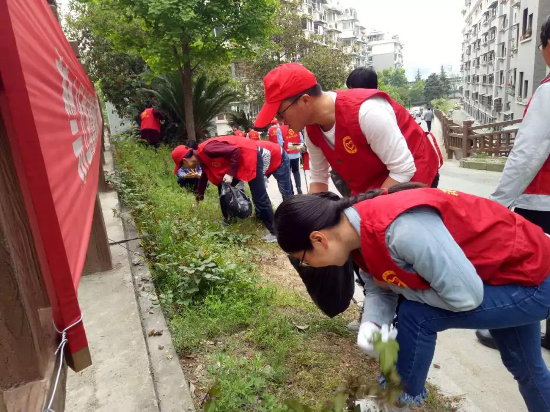 我们一起来接力！这里有份“除四害保健康”的倡仪书……