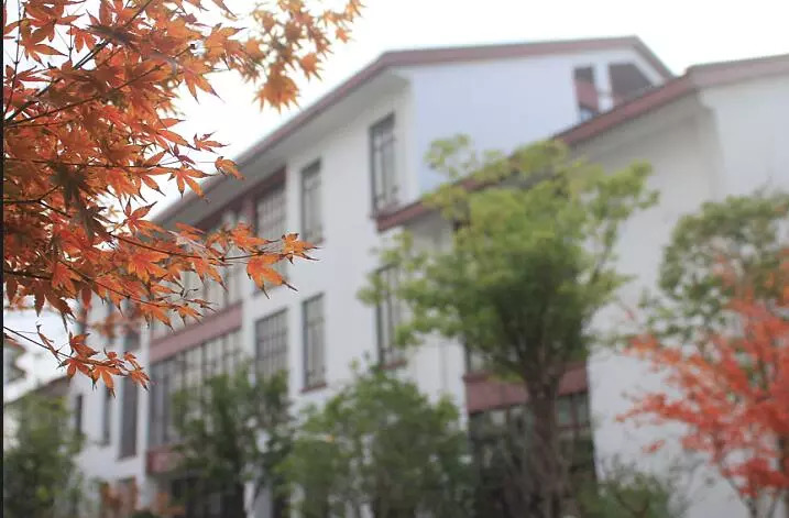 崇明旅游小镇,印象崇明岛