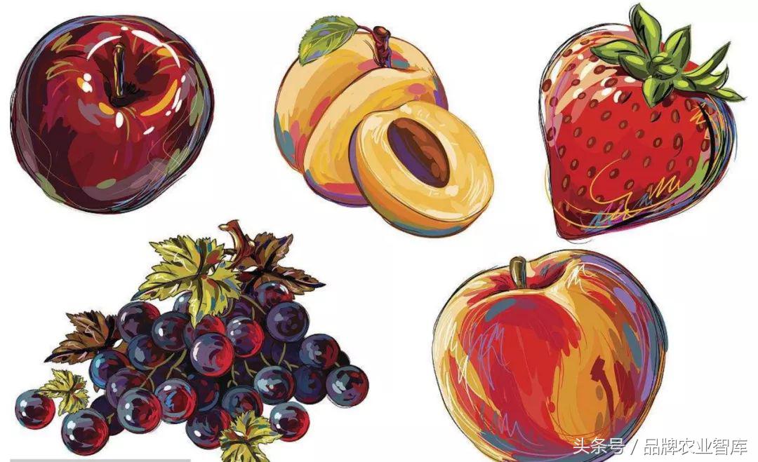 生鲜电商市场前景如何,生鲜电商市场前景