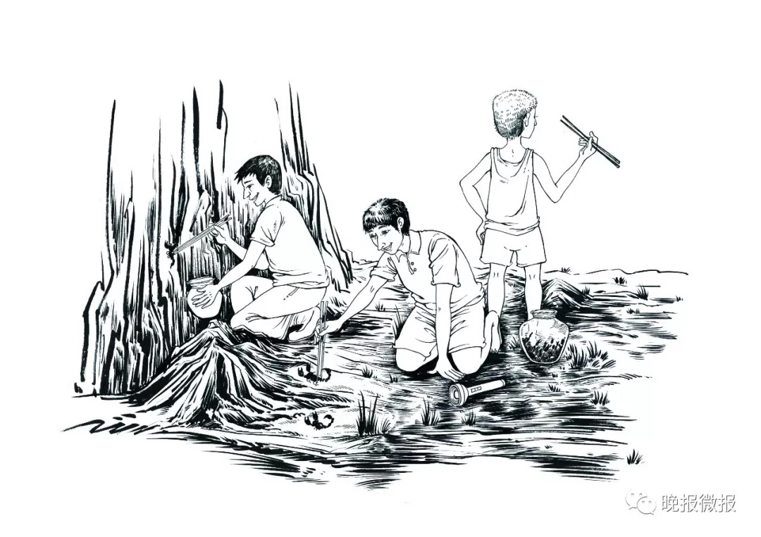 悦读周刊｜小说——苜蓿台